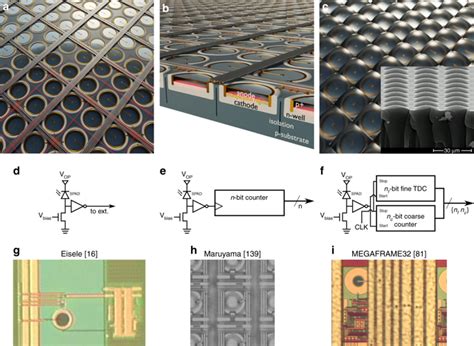 Single Photon Avalanche Diode Imagers In Biophotonics Review And