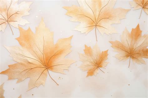 Maple backgrounds leaves plant. | Free Photo Illustration - rawpixel