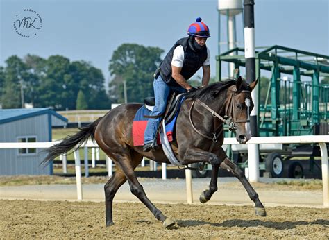 Yatta Impressive in First Win – Herringswell Stables