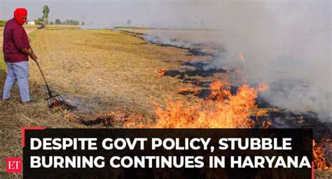 Stubble Burning In Haryana Despite Govt Policy Stubble Burning