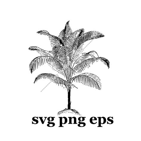 Palmera SVG PNG EPS Clipart Etsy México