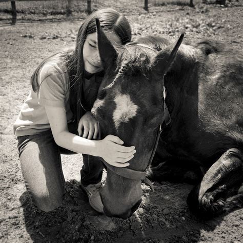 Saying Goodbye To Our Horse Star On Her Last Day Smithsonian Photo