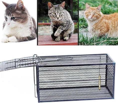 Amazon.com: Animal Trap Rabbit Trap Cage - Cat Trap for Stray Cats, Humane Feral Cat Trap Rust ...