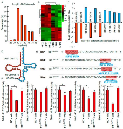 Biomolecules Free Full Text Trna Derived Small Non Coding Rnas As