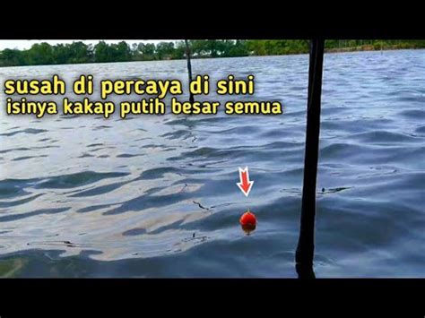 EDIAN Mancing Di Tambak Yang Di Huni Ikan Besar YouTube