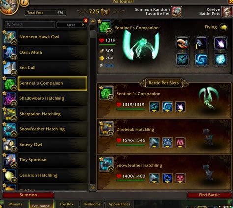 How To Earn The Battler Of The Dragon Isles Achievements In Wow