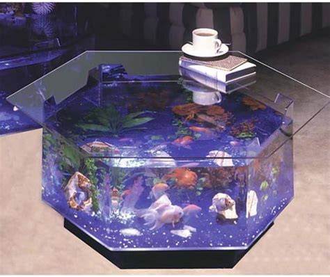 The 5 Best Aquarium Coffee Tables (Review & Buying Guide 2023)