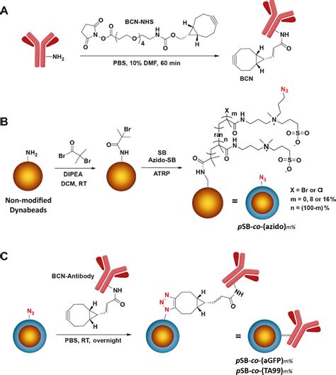 Highly Specific Protein Identification By Immunoprecipitationmass Spectrometry Using