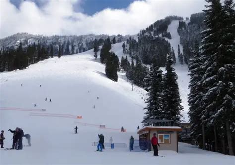 Stevens Pass Ski Area Skiing Terrain Ratings