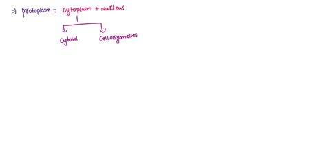 SOLVED:The term 'protoplasm' was coined by