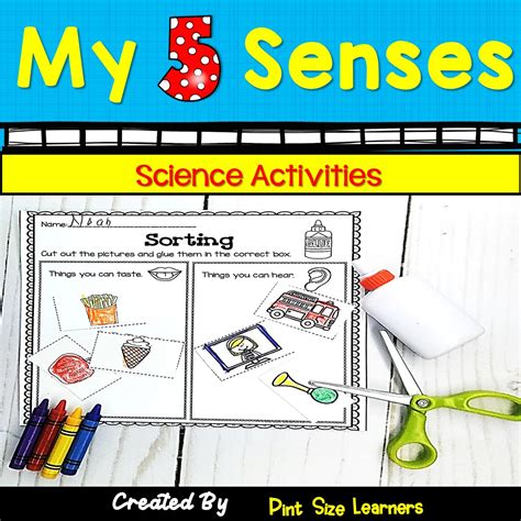 Five Senses Activities 5 Senses Worksheets Pre K K Science Made