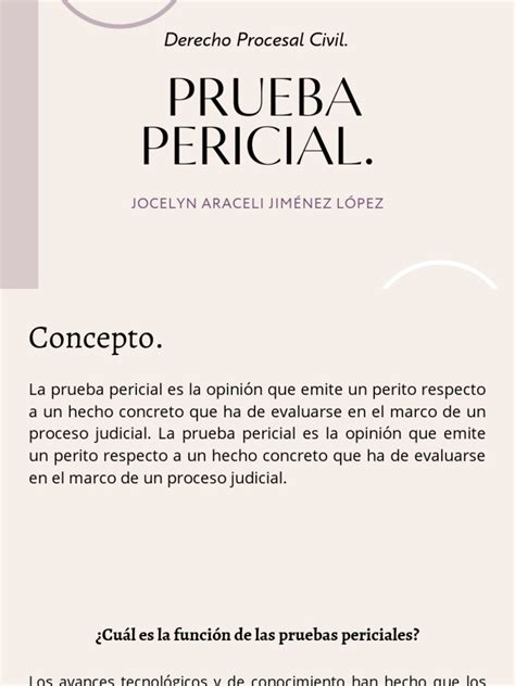 Prueba Pericial Derecho Procesal Civil Pdf Testigo Experto