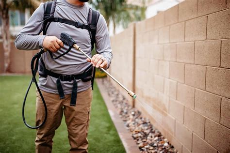 Mosquito Control And Mosquito Abatement Company In Az