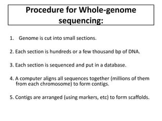 Comparitive Genome Mapping And Model Systems Ppt