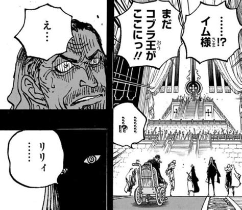 【感想考察】one Piece 1084話「ビビと瓜二つで女性のイム様は不老手術受けたのは確定かと」「写真を見つめていた理由はリリィか