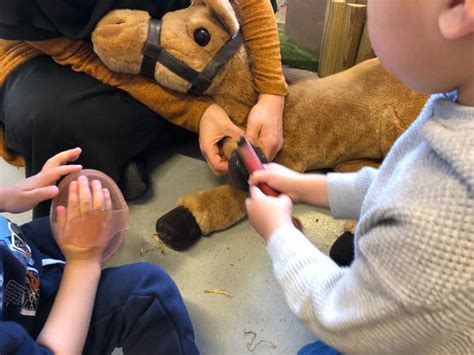 Samen Aan Het Werk Op De Boerderij Zone