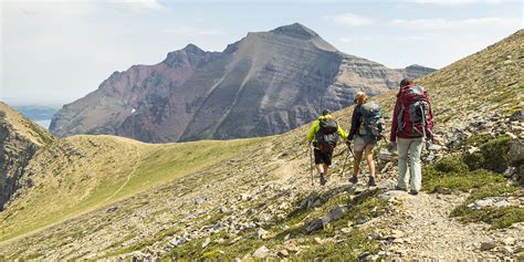 Guided Hiking Trips - Glacier National Park (U.S. National Park Service)