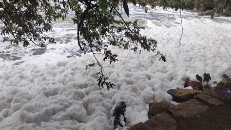 Espuma T Xica Volta A Aparecer Em Trecho Do Rio Tiet Que Passa Por