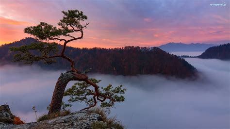 Polska Wsch D S O Ca Ska Y Pieniny Mg A Szczyt Pieni Ski Park