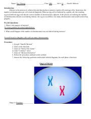 Meiosis Snurfle lab.pdf - Name: Tay Cheong Class: 8R6 Lab # 16 - Snurfle Meiosis Introduction ...