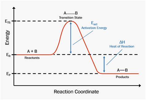 Reaction Coordinate Diagram - Reaction Coordinate Activation Energy, HD ...