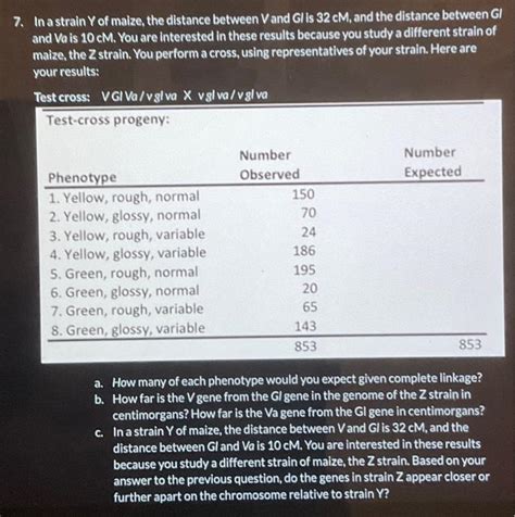 Solved In A Strain Y Of Maize The Distance Between V And G Chegg