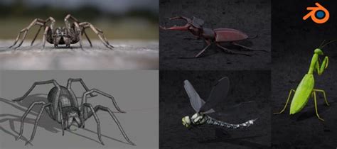 TUTO Maitrisez Blender Création d insectes et d araignées sur Tuto