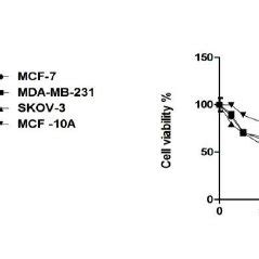 Cytotoxic Activity Of Methanolic Extracts Of Mangifera Indica