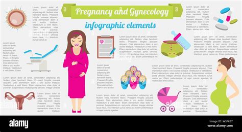 Gynecology And Pregnancy Infographic Template Motherhood Elements