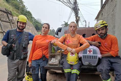 Grad Promove Resgate De Animais Em Reas De Desastres Naturais