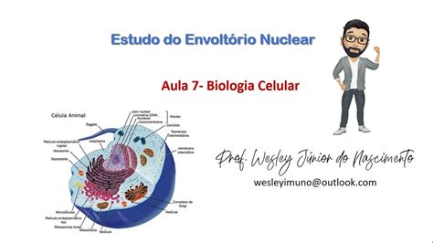 Biologia Celular Ensino Superior Aula 07 O Envoltório Nuclear YouTube