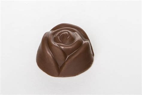 Chocolate Buds Rheo Thompson Candies