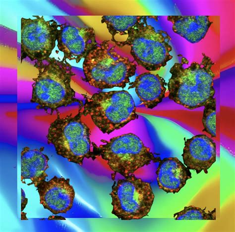 The Moeser Mast Cell Nexus Lab Gi Stress Biology Lab