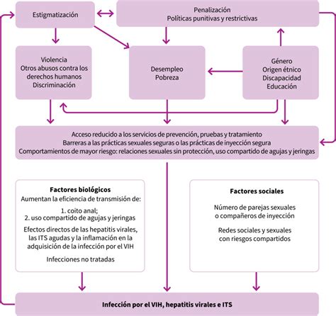 Introducci N Directrices Unificadas Sobre Prevenci N Diagn Stico