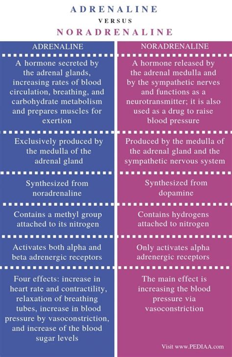 What is the Difference Between Adrenaline and Noradrenaline - Pediaa.Com