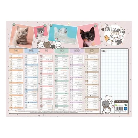 Calendrier année scolaire 2024 2025 Chats BOUCHUT Medium 32x42 cm