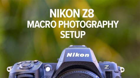 BEST Macro Photography Settings For The Nikon Z8 Shooting Banks And