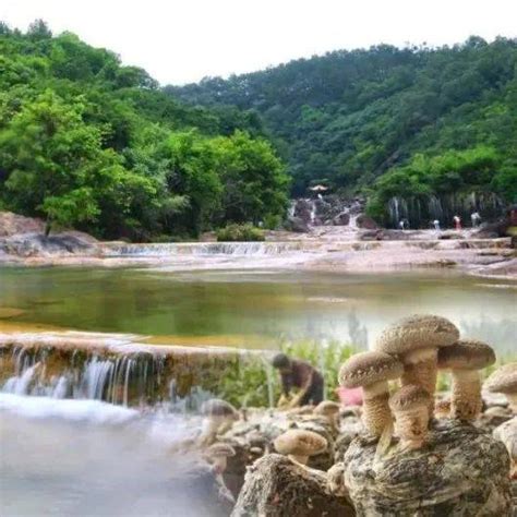 湖北文旅推荐！赏秋、贺丰收，京山这条旅游线路，一定别错过精品鄂文旅主要景点