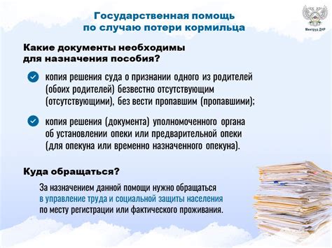 Одной из мер социальной поддержки в ДНР является региональная выплата ...