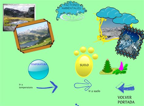 Ecologia Ambiente Fisico Y Organismos Vivos Relaciones Entre Factores