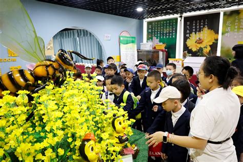 环境与植物保护研究所 工作动态 走出课堂，感受大自然——环植所生态馆为小学生开一堂“亲近自然，认识自然”研学课