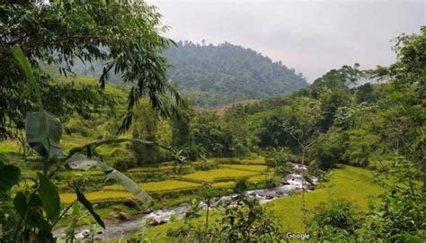 Desa Wisata Malasari Di Kabupaten Bogor