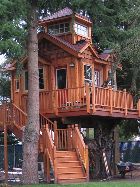 Treehouse Created In 2006 Auburn Wa Mick B And David B Cool Tree Houses