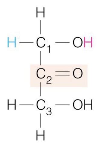 16.1 Monosaccharide Structure and Function Flashcards | Quizlet