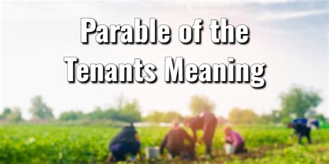 The Parable Of The Tenants Meaning Key Bible Verseslord S Library