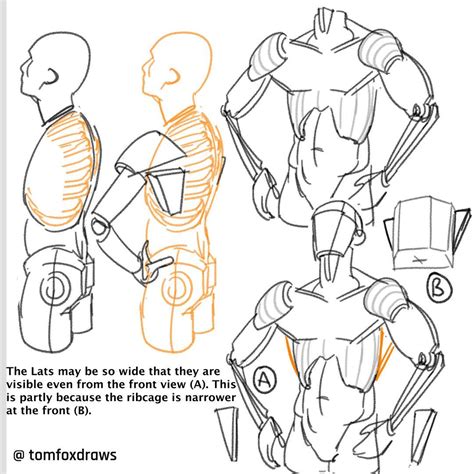 How To Draw The Human Body In Easy Steps Step By Step Instructions