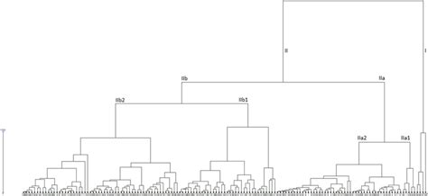 Unweighted Neighbor Joining Dendrogram Depicting The Grouping Pattern