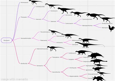 A cool guide to the evolution of dinosaurs (OC) : r/coolguides