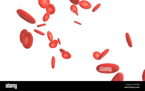 D Illustration Of Red Blood Cell Stock Photo Alamy