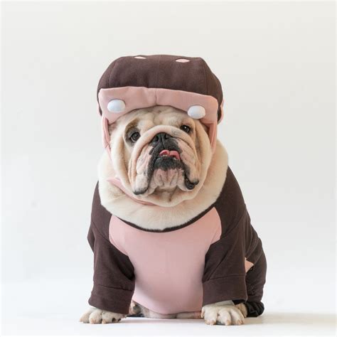 infant hippo costume 8
